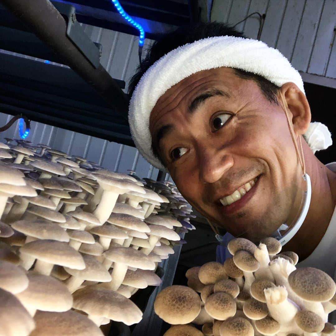 石田靖のインスタグラム