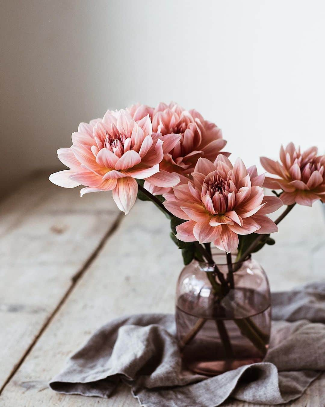 増田由希子さんのインスタグラム写真 - (増田由希子Instagram)「Loving the autumnal tones of these dahlias. #dahlia #dahlias #lyngby 秋色のダリア一種をシンプルに。 #ダリア」10月18日 20時59分 - nonihana_