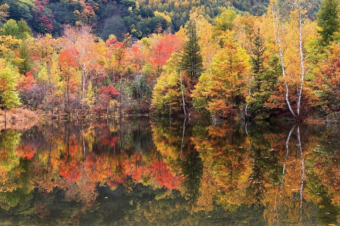 JAPANのインスタグラム：「Maime Pond」