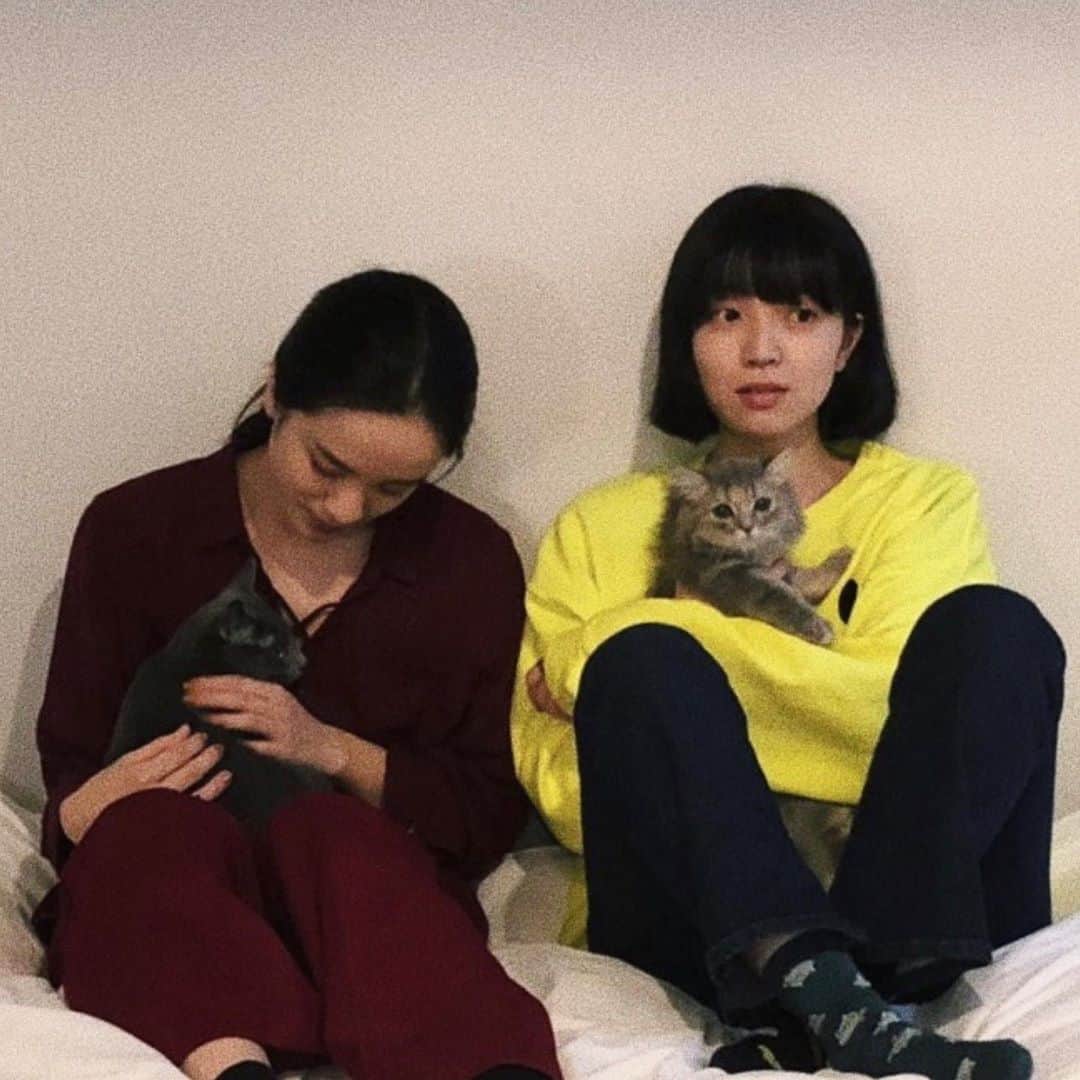 大澤実音穂さんのインスタグラム写真 - (大澤実音穂Instagram)「猫を愛する人たちと、猫ミーティングをしました。🐈🧶」10月18日 19時37分 - ______mineho