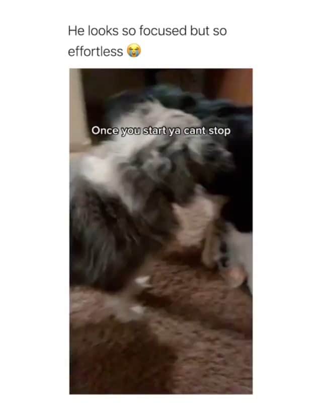 Funny Postsのインスタグラム：「••••••••••• 😂 He's so on beat 💬 Video by: @andievalera 🎥 Double tap for more videos!」