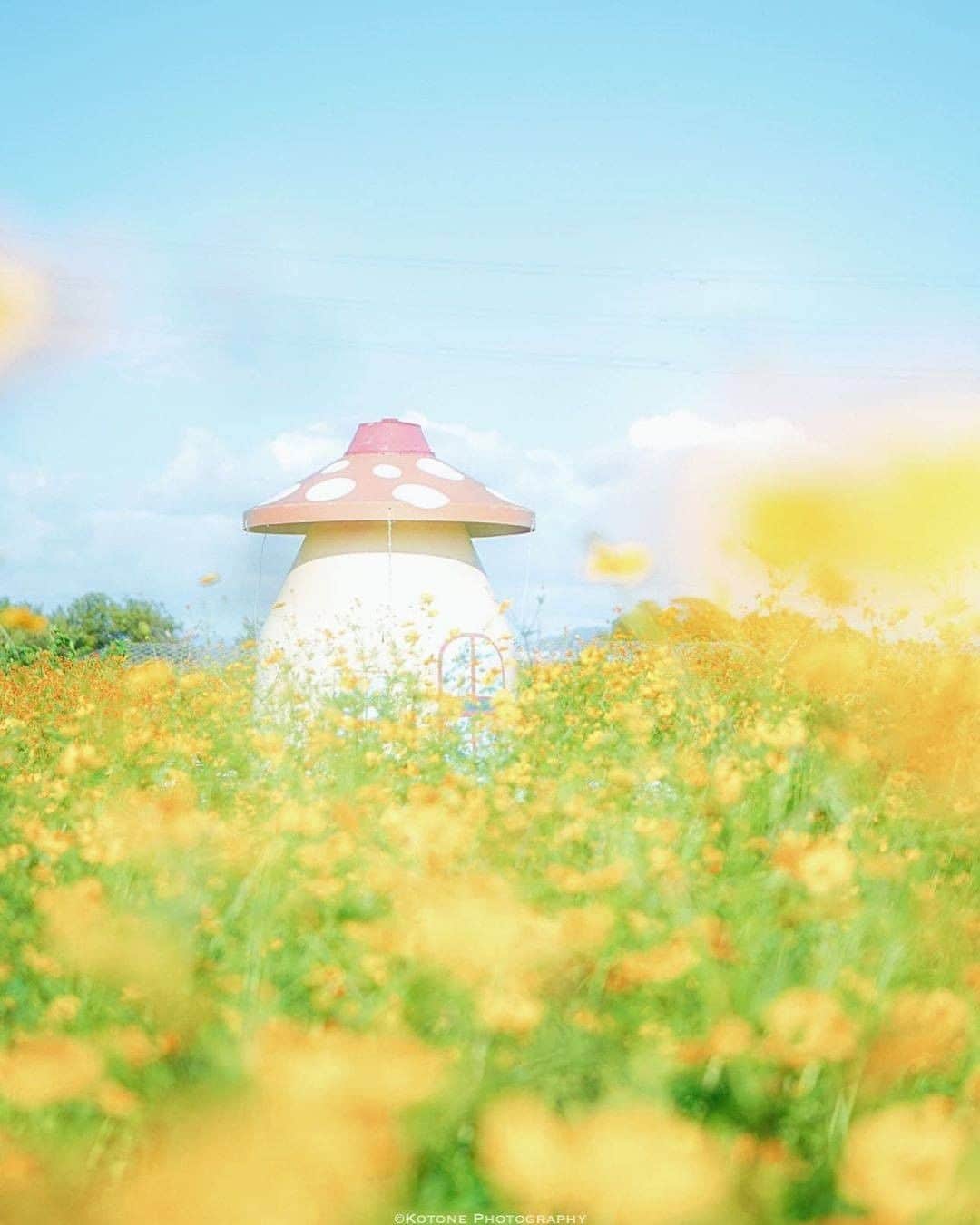 旅行メディア・じゃらん〈公式〉のインスタグラム
