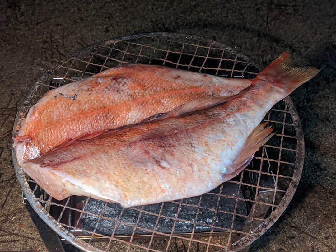 芳美リンさんのインスタグラム写真 - (芳美リンInstagram)「実はアウトドア天国の茨城県👏﻿ ﻿ 茨城に行くのはこれで4回目かな！﻿  ﻿ #大洗サンビーチキャンプ場 でキャンプしてきました！﻿ ﻿ 海の幸でキャンプメニュー！﻿ ﻿ イベントだったので、ハマグリ、イカ、お魚の干物はセットでついてきました。😀﻿ ﻿ 途中に立ち寄った、#大洗まいわい市場 で購入した﻿ ブロッコリー、しめじ、ニンニクでアヒージョ！﻿ すべて茨城県産。﻿ ﻿ ニンニクの粒が大きすぎて、﻿ 間違って小さめの玉ねぎ買ったかと心配になってパッケージ見直しました。（笑）﻿ ちゃんとニンニクで良かった！﻿ ﻿ オリーブオイルと唐辛子意外はすべて茨城県産👏﻿ ﻿ どれも美味しくて大満足♥﻿ ﻿ ﻿ ﻿ #茨城キャンプ#いばらきキャンプ#pr#camphack﻿ #大洗#ソロキャンプ#女子キャンパー#アウトドア女子#キャンプメニュー#キャンプ飯#アウトドアメニュー#アヒージョ﻿」10月18日 20時10分 - lynn.lynn5