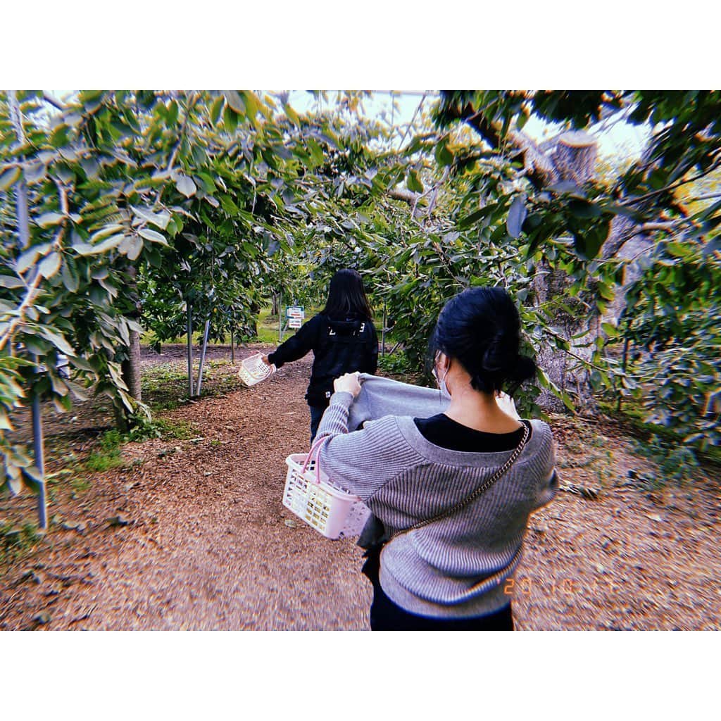 林唯衣さんのインスタグラム写真 - (林唯衣Instagram)「リンゴが大好きな倉田(@ak503011 )は巨大なリンゴを早々に完食しましたが満腹につきぶどうやプルーンはその後ほぼ食べられないという作戦ミスをおかし、なかし(@smilesmrn )はぶどうのタネは飲み込む派で途中から立ち止まらなくてもノンルックでぶどうに手を伸ばしひたすら口にいれる。そんな秋の果物狩りでした🍎🍇🍁　#果物狩りだって十人十色　#ハヤシ旅」10月18日 11時58分 - yui__hayashi