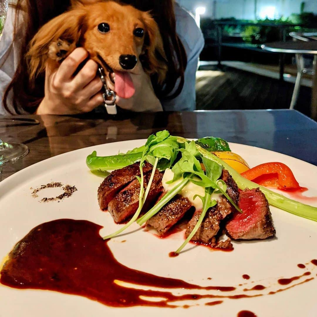 大見さなえさんのインスタグラム写真 - (大見さなえInstagram)「牛ヒレ肉のステーキ😍🐶🥩﻿ 『#バグースバー芝浦アイランド 』﻿ リゾートダイニングでテラス席ではペットも可🐶🌴🍹﻿ ﻿ 今日のメインはメニューにはのってない本日のオススメ！﻿ ヒレ肉しっとり柔らかぃぃ😍﻿ ﻿ テラス席からは芝浦の運河を眺められて非日常的空間(*´꒳`*)🌃﻿ ﻿ ランチで女子会やデート﻿ ペット連れてご飯にも🙆‍♀️✨﻿ ﻿ ﻿ エリア　田町駅﻿ ☎︎ 050-5594-4140﻿ 予算　﻿ Dinner￥4,000～￥4,999﻿ Lunch￥1,000～￥1,999﻿ ﻿ 営業時間﻿ 【ランチ】﻿ 11：30～14：00﻿ 【カフェ】﻿ 14：00～17：30﻿ 【ディナー】﻿ 17：30～23：00 (LO 22:30)﻿ ﻿ ﻿ #バグースバー #バグースバー芝浦 #ペット可﻿」10月18日 11時56分 - tabe_megumi