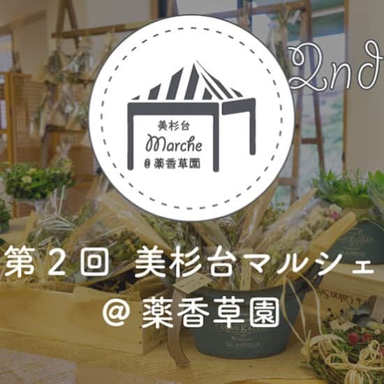 生活の木 メディカルハーブガーデン薬香草園【公式】のインスタグラム：「【第2回 美杉台マルシェ＠薬香草園 開催のお知らせ】  9月に続き、第2回 美杉台マルシェ＠薬香草園を開催いたします！ ﻿ 美杉台マルシェ＠薬香草園とは、"Make Your Wellness"をコンセプトに、飯能、飯能近隣で「自然」・「健康」・「楽しさ」・「美味しさ」を大切にしている方々が集まり、新たな発見ができる場です。﻿ ﻿ 開催概要：﻿ 日時：10月31日（土）、11月1日(日)、11月3日（火・祝）10:00～16:00 ※11月2日(月)は休館日です。 場所：生活の木　メディカルハーブガーデン薬香草園﻿ ﻿ 地場産野菜を始め、コーヒー豆や狭山茶、自家製ジャム、アロマキャンドルの販売など、様々な出店者の方が集まります。 ﻿ 出店日・出店者の詳細については薬香草園WEBサイト﻿ https://www.treeoflife.co.jp/garden/﻿ よりご確認ください。﻿ ﻿ 生活の木も特別ブースにて手作りスワッグなどの販売をいたします。﻿﻿ ﻿ 皆さまのご来園を心よりお待ちしております。﻿ ﻿なお次回は、11月21日(土)〜23日(月・祝)に開催いたします。  ※状況により、中止または出店者が変更となる可能性がございます。﻿ ※特別イベントにつき売り切れの際はご容赦ください。﻿ ※ご来場の際はできるだけ公共交通機関をご利用ください。﻿ ※ご来場の際はマスクの着用をお願いいたします。﻿ ※ご入場の際は手指の消毒にご協力をお願いいたします。﻿ ﻿ ﻿ #薬香草園　#飯能　#ハーブ園﻿ #生活の木　#飯能ハーブガーデン﻿ #メディカルハーブ　#ハーブガーデン﻿ #マルシェ　#イベント　#野菜　#オリジナル商品﻿ #狭山茶　#コーヒー　#手作り　#スワッグ　#手作りアロマ　﻿#ジャム　#狭山茶 #アロマのある暮らし　#ハーブのある暮らし﻿ #ナチュラルな暮らし﻿ #ハーブ #ウェルネス　#ウェルビーイング #美杉台マルシェ　#アロマキャンドル #文化の日　#飯能マルシェ」