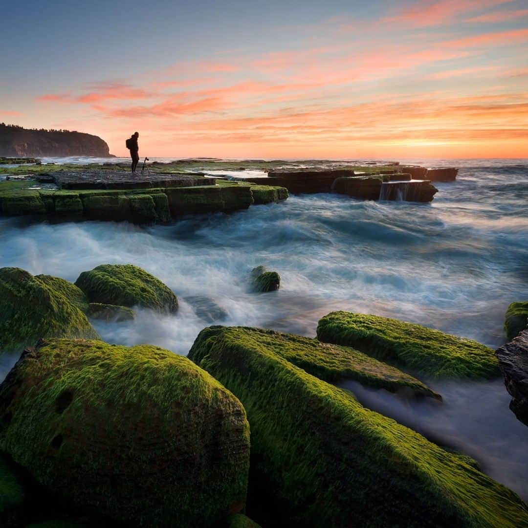 Nikon Australiaさんのインスタグラム写真 - (Nikon AustraliaInstagram)「About this time of the year at Turimetta beach (Northern beach of Sydney NSW) the sea rock will cover with bright green moss, which becomes a great foreground for photographers.   The Z 6 with NIKKOR Z 14-30mm f/4 were used in this image. They are a perfect match for me with their super lightweight and wide-angle, making it handier to shoot seascapes. Both have got similar handles and operate the same way as my previous DSLR D850" - @thann_fotograph  Camera: Nikon Z 6 Lens: NIKKOR Z 14-30mm f/4 S Settings: f/11  1/60s  ISO 160  #Nikon #MyNikonLife #NikonAustralia #NikonZ6 #Z6 #NIKKOR #LandscapePhotoography」10月18日 12時10分 - nikonaustralia