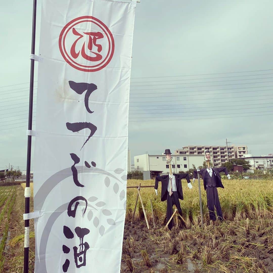 宮田麺児さんのインスタグラム写真 - (宮田麺児Instagram)「まさか　田んぼで　農家さんと たんぱく含有量のはなしをする日がくるとは。」10月18日 12時13分 - miyatamenji