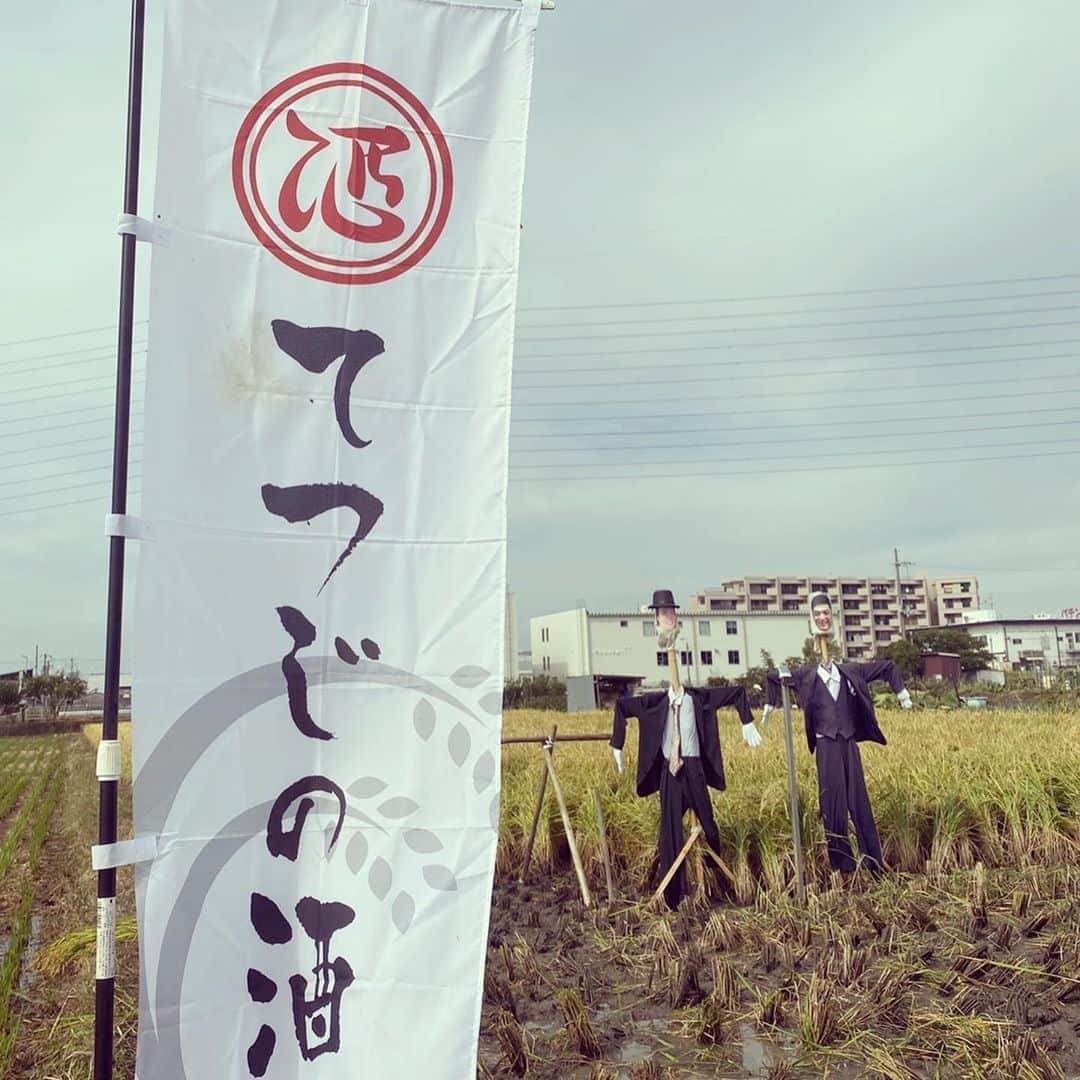 宮田麺児のインスタグラム：「まさか　田んぼで　農家さんと たんぱく含有量のはなしをする日がくるとは。」