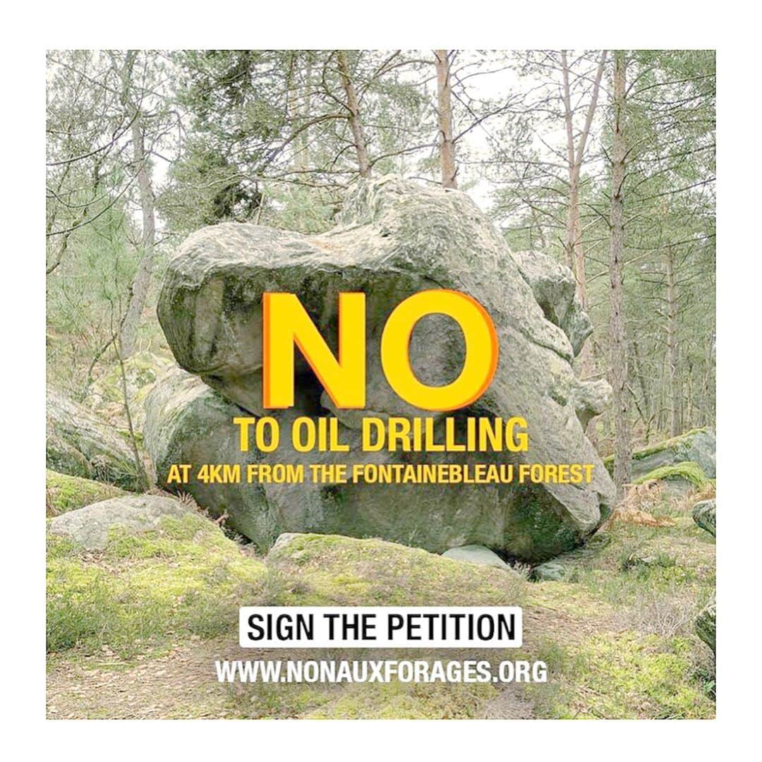 小林由佳さんのインスタグラム写真 - (小林由佳Instagram)「Protect the Forest of Fontainebleau🌳🌳  One of our climbing histrical place is in danger. TOMORROW They will present this petition to the commissioner with an argued letter.  check out the link👇🏻¨̮ https://www.nonauxforages.org/international  #done☑︎ #Fontainbleau🌳 #またこいつに会いに行きたいな¨̮ #にこにこわんちゃん #nonauxforages」10月18日 13時18分 - yuca_tan