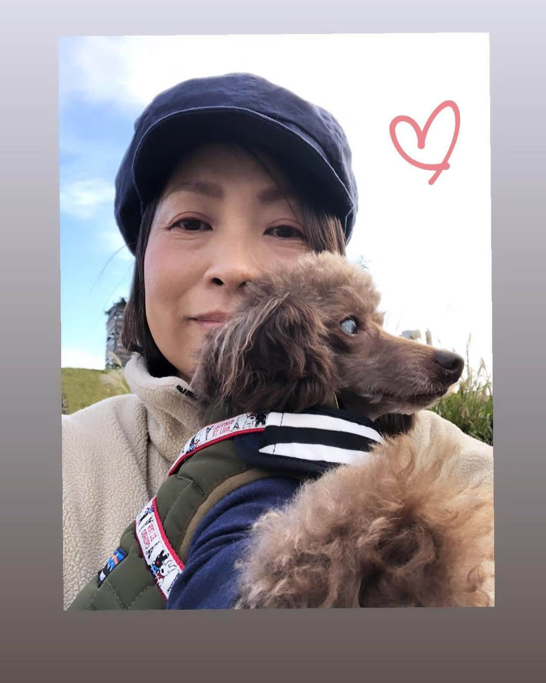 hoshinofumikaさんのインスタグラム写真 - (hoshinofumikaInstagram)「【嬉しいご報告💓】  3日、迷い犬を保護したと投稿しましたが魚沼市、 小千谷、長岡、みなさんのご協力の下、 たくさんのトリミングサロンに連絡したり、看板、 チラシを立たせてもらったりしましたが情報はゼロ、 そして飼い主さんも現れず 探してる様子も全くありませんでした。  ですが、この度 わたしの姉の様な存在の もりしたなおこさん @naoko_morishita が 迷子犬のめめくんの新しい家族になってくれました✨💓 なのでわたしも一番近くで これからもめめのことを見守っていけます😊  めめは見つけた時から 両目が白内障でガリガリでした。 何か病気を持ってるのかな？と思っていましたが、 先日の健康診断で百点満点頂きました💯 とっても嬉しいです。😭  他のワンコよりは 両目が見えないハンデはありますが きっと目には見えないものを沢山 与えてくれる家族がそばにいるので たくさんの愛を受け取ってすくすく 成長していくと確信しております😌 毎日めめの写真や動画を見て 本当にパワーをもらってます✨  もりした家の皆さんありがとうございます💓 めめをよろしくお願いします。  不思議な出会い でもきっと 何か意味のあることだったのかな、と思います。 そぅ思うしか無いです。  ウメ、メメちゃんとなって 現れてくれたのかな？👼  どうか、これ以上 怖い、寂しい、悲しい動物が増えませんように。 地域の皆さん、声の掛け合い、助け合いよろしくお願いします☺️ 違和感のある飼育の仕方、扱い方をしていたら、感じたら市の衛生環境課へご連絡よろしくお願いします。  みなさん、たくさんのシェア、拡散、本当にありがとうございました✨😊💓 魚沼アニマルサポートの 笛木さんはじめ サポーターの皆さん、本当にいつもありがとうございます😊  動物は家族です。 心あり、愛があり、思いやりがあり 信じる心がとても強く 絶対人間を裏切りません。 裏切る者、嘘をつくのはいつも人間。  放棄した者、一生動物と関わらないで。  #ペットショップへ行かないで #保護犬を家族に  #ペットショップの裏側を知ろう #なんでペットショップはあるのか」10月18日 13時18分 - fumika_hoshino