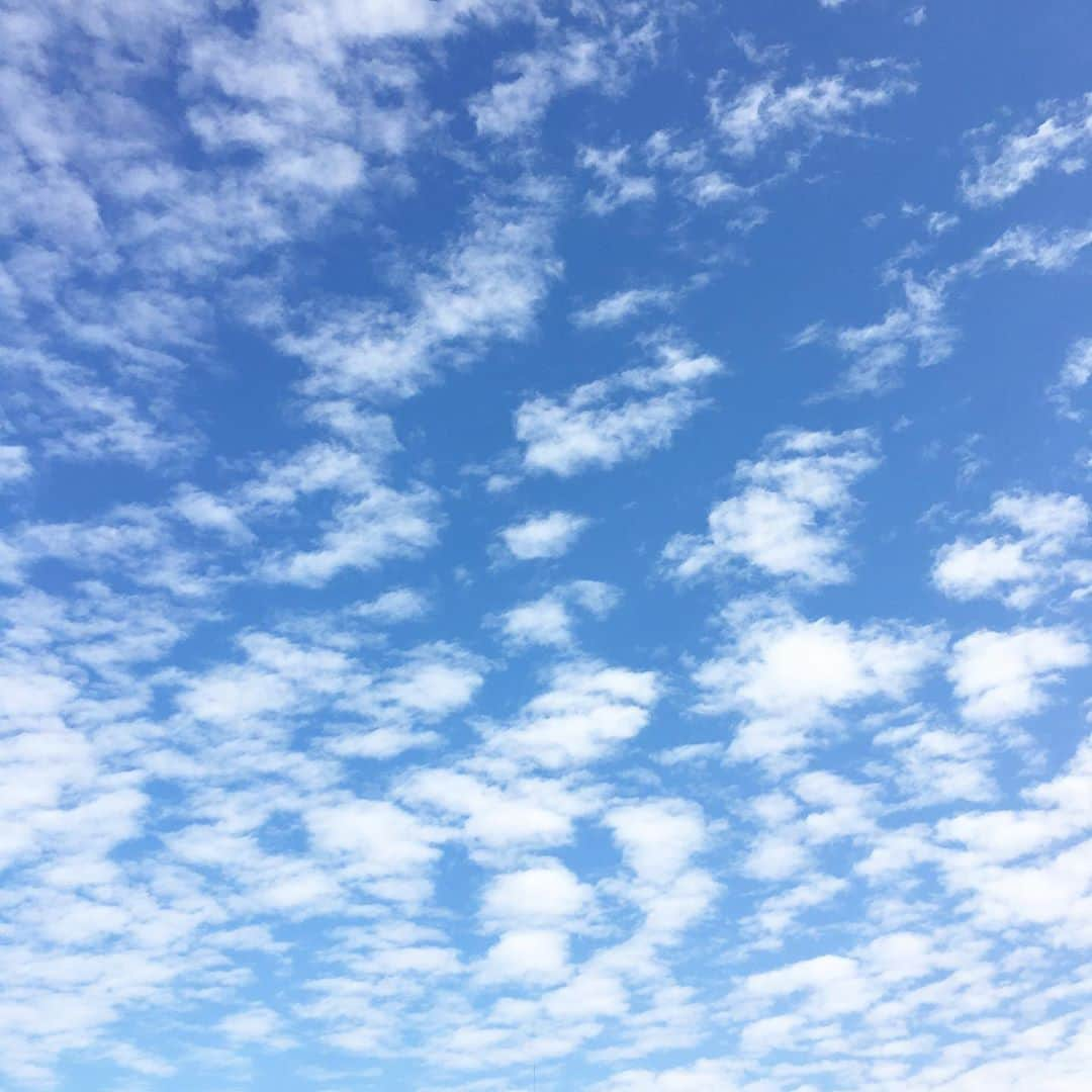 平野由実さんのインスタグラム写真 - (平野由実Instagram)「#空 #雲 #曇 #☁️ #青空 #秋空 公園で子どもたちとのんびり。 日差しが熱い🌤 木陰が過ごしやすい🍃」10月18日 13時39分 - yumi_hiranoo