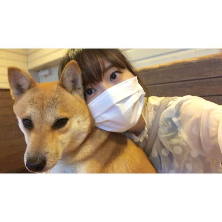 CHIHARUのインスタグラム：「#memories #📷  ワンさんと、コミュニケーション良化しました #🐶 #👩🏻」