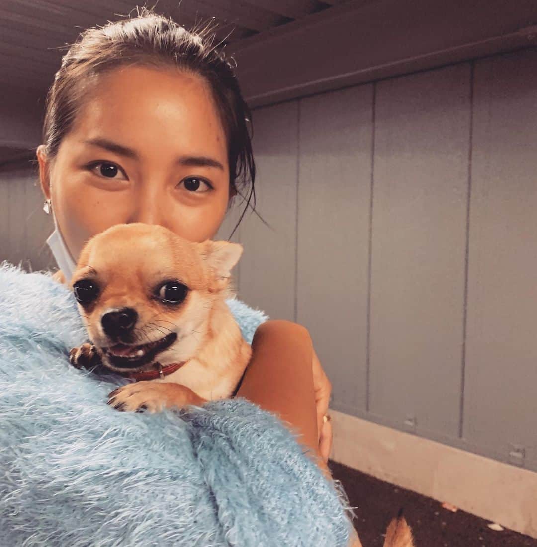 奥山春香さんのインスタグラム写真 - (奥山春香Instagram)「アシカ系の顔好き。」10月18日 13時46分 - corvetteharuka