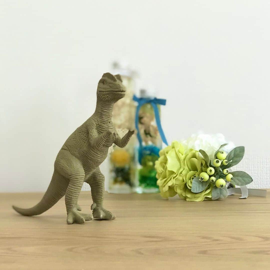 野口綾子さんのインスタグラム写真 - (野口綾子Instagram)「100均の恐竜を無駄に可愛く撮っただけ  #暇なのかな #ポートレート #iPhone7」10月18日 13時53分 - ayako__n