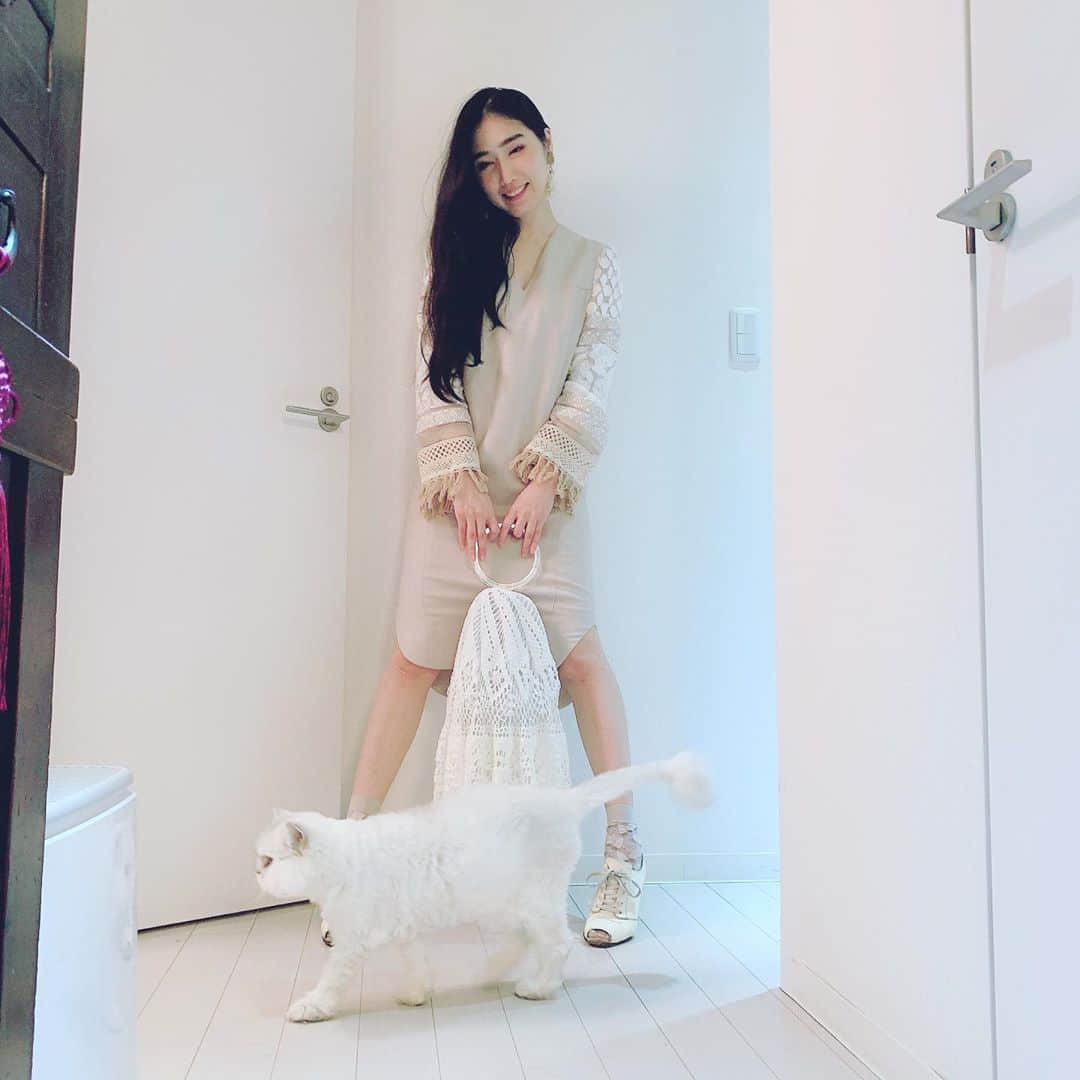 のインスタグラム：「田嶋陽子さんとの対談に行ってくるよ〜！　来月発売になる『AV女優ちゃん』第一巻に収録されまーす！　たのしみだね！ お袖レースワンピース　#mamekurogouchi  綿レースバッグ　#mamekurogouchi  靴　#dolceandgabbana  #コーデ　#コーディネート　#今日のコーデ　#ootd #猫　#ねこ　#cat」