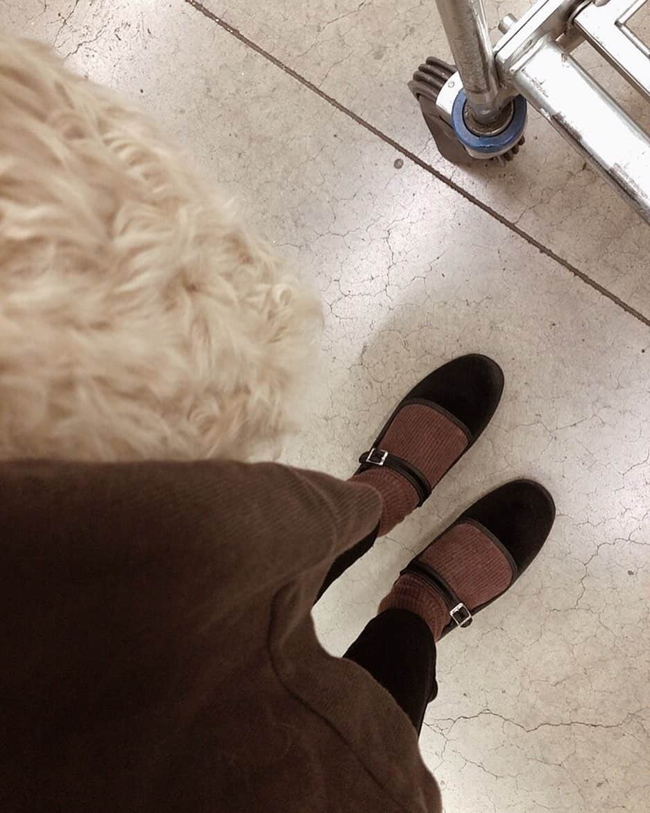 Shioneのインスタグラム：「お気に入り @freaksstore_official のストラップベロアカンフーシューズ🍂🤎 ㅤㅤㅤㅤㅤㅤㅤㅤㅤㅤㅤㅤㅤ 軽いから疲れないし何よりインソールがもちもちふかふかで一生歩けそう😂🤎 ㅤㅤㅤㅤㅤㅤㅤㅤㅤㅤㅤㅤㅤ 今年重宝しそう🧶🍁 ㅤㅤㅤㅤㅤㅤㅤㅤㅤㅤㅤㅤㅤ @freaksstore_official  @freaksstore_online  ㅤㅤㅤㅤㅤㅤㅤㅤㅤㅤㅤㅤㅤ  #instagram  #ヘアカット  #japan  #メイク  #YouTube  #cosmetics #love #me #makeup  #fashion #メイク動画  #メイク #コスメ #shii_code🌹 🌹#Libecka #libeckabyshii #youtuber #youtube #アッシュカラー #ヘアアレンジ #hairStyle #ヘアカラー  #プチプラコーデ #低身長コーデ #低身長ファッション　#ショートヘア #ハンサムショート #マッシュショート #フリークスストア #ベロアシューズ」