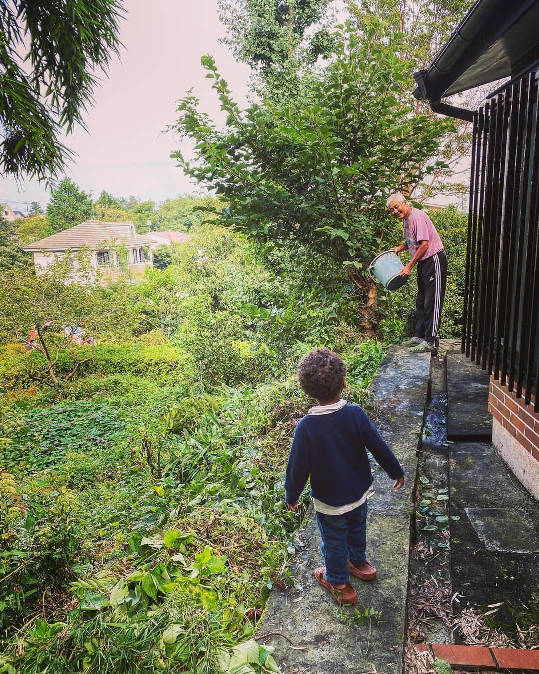 中鉢明子さんのインスタグラム写真 - (中鉢明子Instagram)「じぃじいた👀🌱#裏の畑 #countyhouse #Izu #Japan #伊豆別荘 #日本の思い出2020」10月18日 14時54分 - akiko_harlem