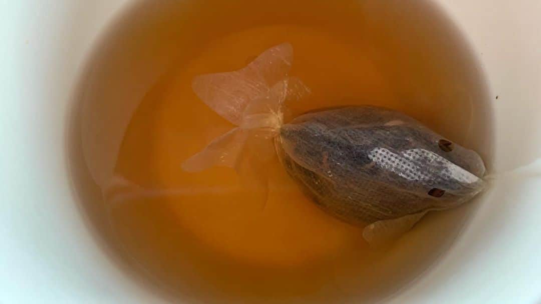 夏木マリさんのインスタグラム写真 - (夏木マリInstagram)「お茶にしますか......  台湾のお茶を いただきました🍵  キンセン茶 ルビー紅茶 東方美人  可愛い 金魚ちゃんTeaバック でいただきます............  #箱からシリーズ #台湾 #tea  #金魚ちゃんティーバッグ  #natsukirock  #夏木マリ 　@mari_natsuki」10月18日 14時54分 - mari_natsuki