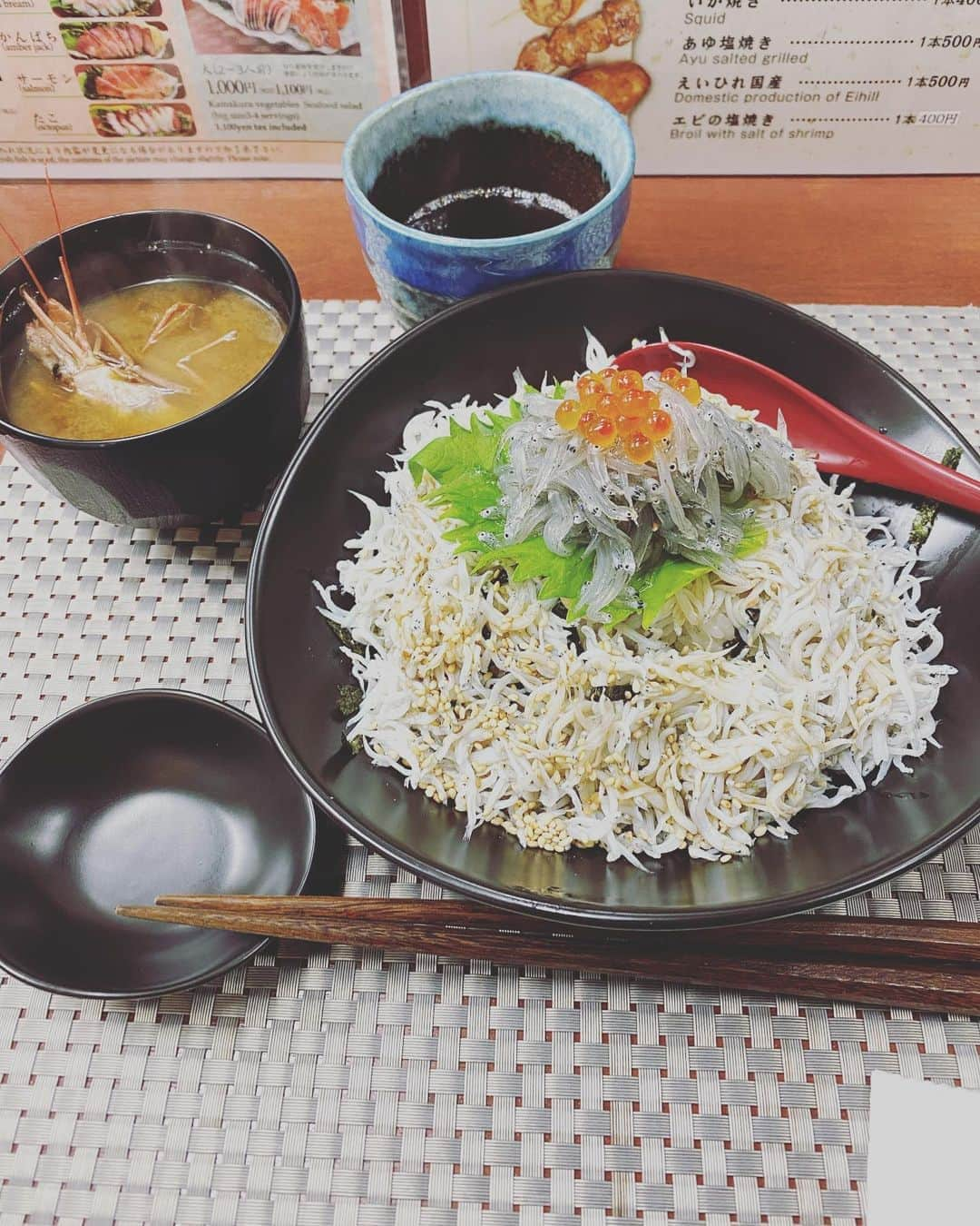 木原さとみさんのインスタグラム写真 - (木原さとみInstagram)「#おひるごはん  は、　#生しらす丼  ボリュームたっぷり シラスの量がすごかったー。みにょんもお店に入れてもらえて助かりました。 #ペットとご飯　みにょんもずっと静かに大人しく偉かった！」10月18日 15時18分 - satop0704