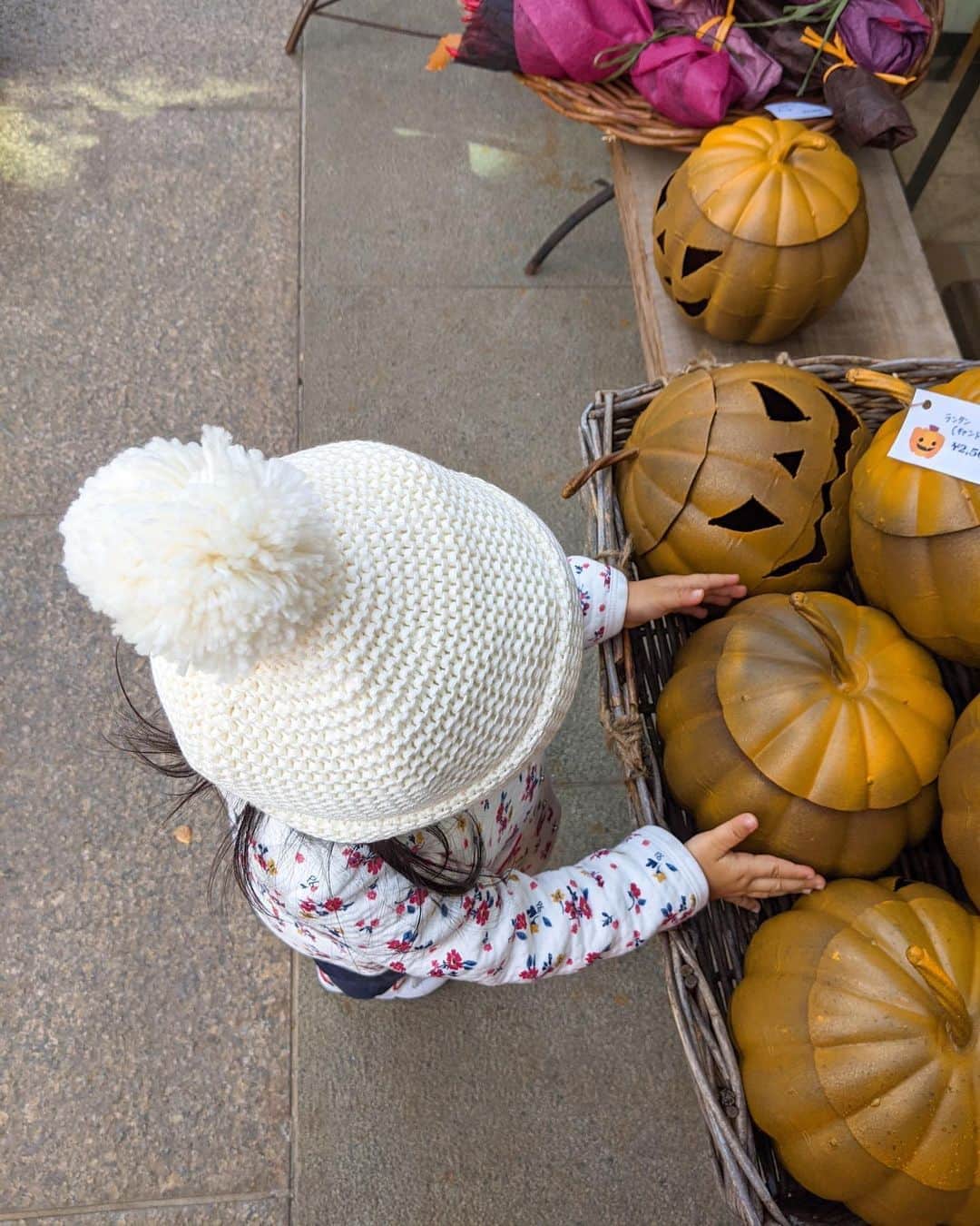 のインスタグラム：「. . かあいー(かわいー)だそうです🎃 #ハロウィン #Halloween #ハロウィーン #かぼちゃ選び #女の子ベビー #女の子キッズ #1歳10ヶ月」
