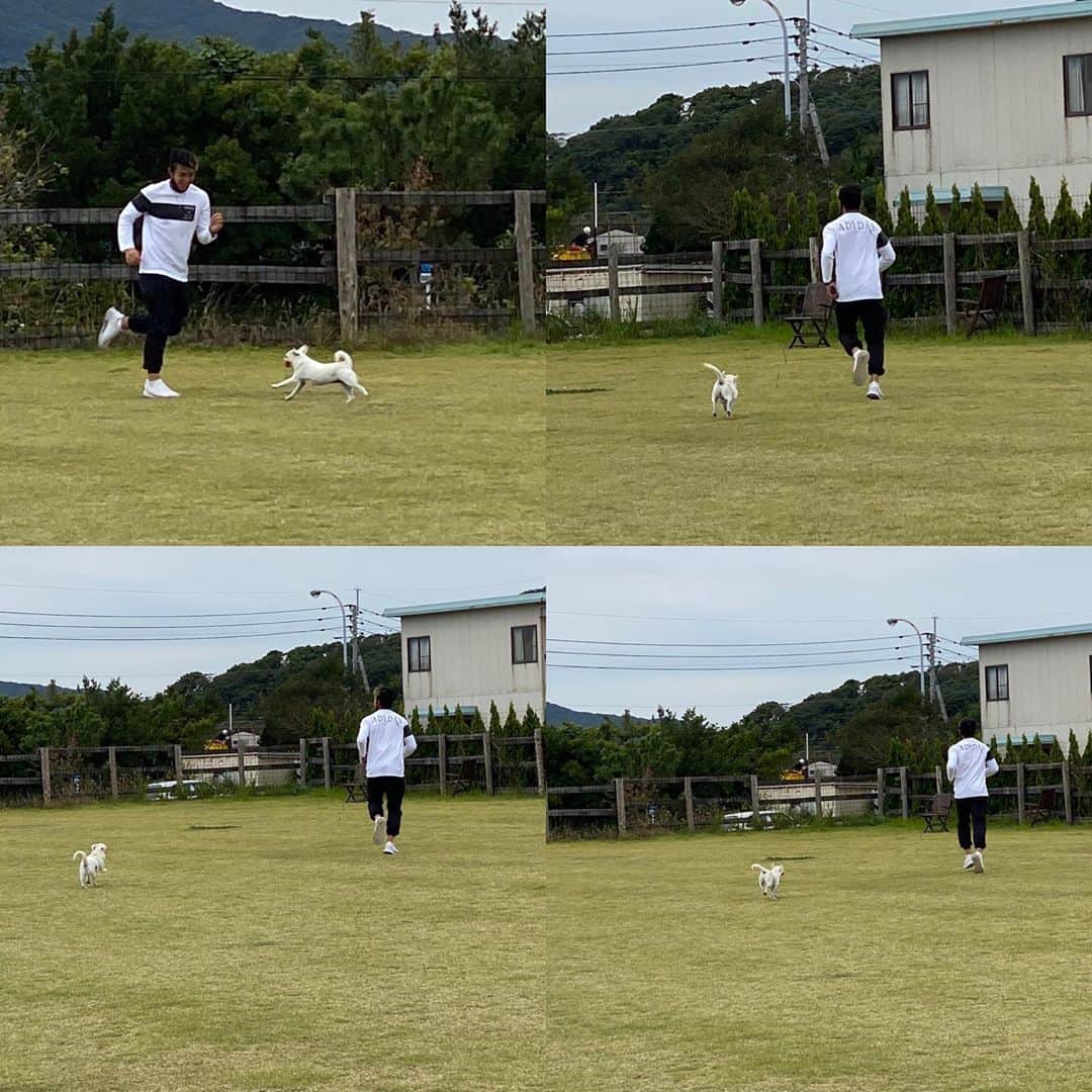 増山朝陽さんのインスタグラム写真 - (増山朝陽Instagram)「💪💪💪 次も勝つためにいい準備して 乗り込もう！ 目の前の相手に負けない。 勝利のためにできる言動を。 #足を止めるのはシーズン終了 #それまではひたすら足を動かす #いくとこまでいこう #アビスパ福岡 #言いたいことは愛犬と戯れたい」10月18日 21時02分 - asahi_ihasa