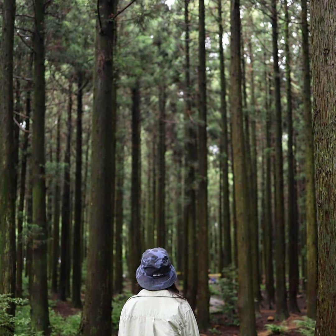 のインスタグラム：「🌿」