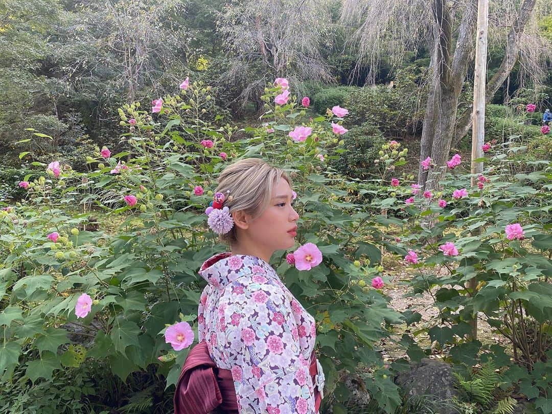 acaneのインスタグラム：「・ 着物って着てるだけで 背筋がピーンとして 綺麗に見られたいって気持ちになるよね👘  #4枚目大丈夫かあ？」