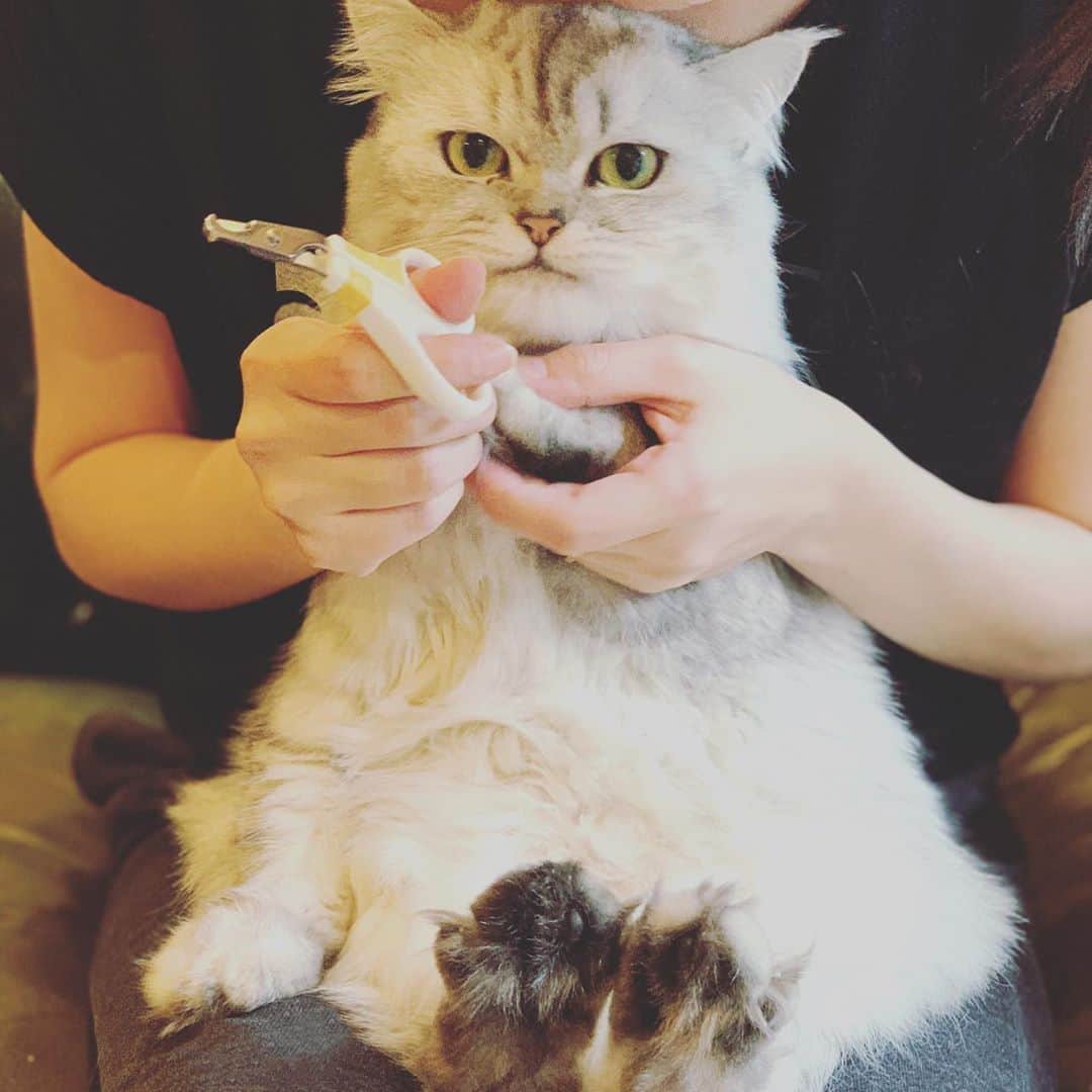 木村了のインスタグラム