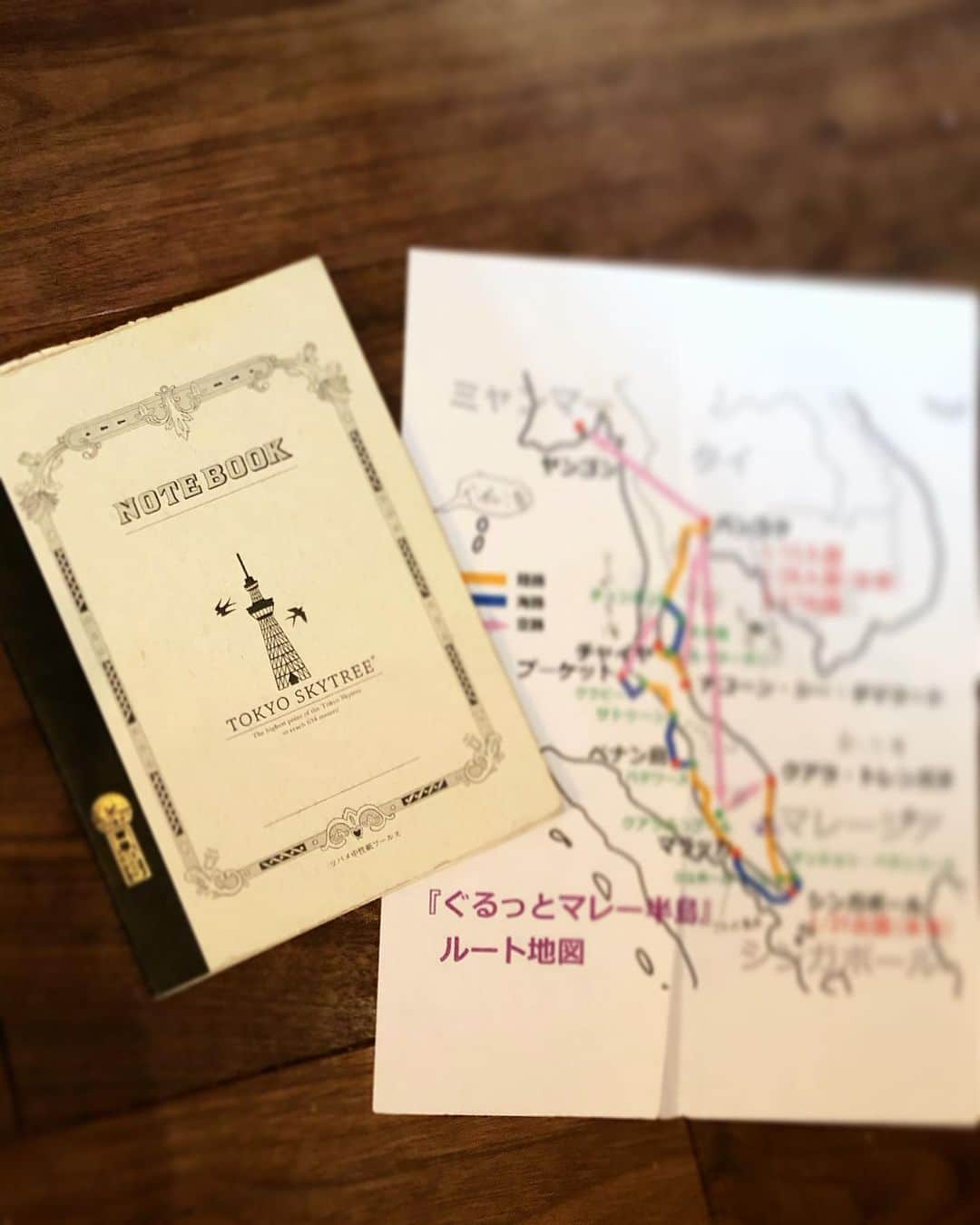 野村佑香さんのインスタグラム写真 - (野村佑香Instagram)「今週水曜日、10/21(水)後4:30~のぐるっと再放送は、4回目のぐるっとの中で、シリーズ初のアジア編‼️  『ぐるっとマレー半島』でございます⛵️  タイ、マレーシア、シンガポール、ミャンマーを巡ります🚣‍♂️  写真は毎回自分で作っていたぐるっとノート。  自分で調べた行き先と行ってみて初めて知った事、体験したことを書き記していました。（かきなぐっておりますね…） あとは、その国のいいそうな言葉たち。あんちょこです。  「こんにちは」「ありがとう」「おいしい」は必ず言えるようになっておきたくて。  このノートを鞄に忍ばせて、ぐるっとしていたのでした🎒  このノートたち、8冊も私の大切な宝物の一つです🏵  #ぐるっと#ぐるっとシリーズ#宝物#ノート#マレー半島#再放送#それにしても字が汚い#なぜ途中ページが破れているのか#誰かに渡したかな　？」10月18日 15時41分 - nomuyuu