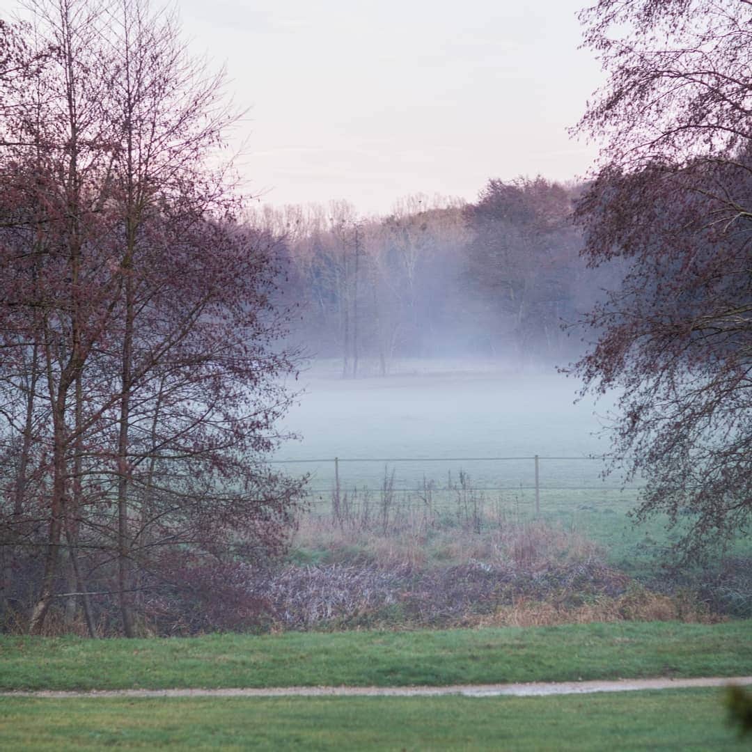 ベンシモンのインスタグラム：「Longs manteaux et grands cols roulés, c'est la période des balades en forêt et des soirées au coin de la cheminée ☁️ La saison des pulls douillets est lancée, rendez-vous sur le site ! 😉 (lien dans la bio)  ​ 🇬🇧 Long coats and big turtlenecks, it's time for long walks in the forest and evenings by the fireplace ☁️ The season of cosy jumpers is launched, rendez-vous on the website! 😉 (link in the bio)  ​#bensimon #mode #tennis #automne #mood」