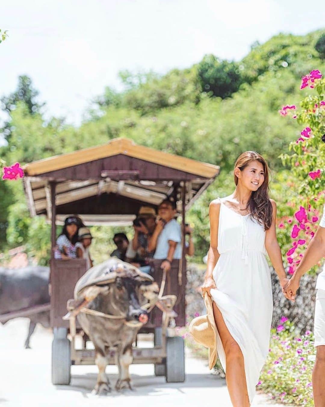 のインスタグラム：「竹富島の雰囲気を☀️😌🍃 お友達が来たら一緒に絶対行きたい場所🏝 赤瓦のお家、その周りの石垣、水牛車、ブーゲンビリアの花🐃💐 沖縄出身ではないけれど、懐かしい心地いい感覚になれる場所🏖 #彼女とデートなうに使っていいよ のやつみたいになったけど💖 @hiroki3.h ✂️ゴメンね🤣 #竹富島 #taketomiisland #石垣島旅行 #竹富島観光 #model #モデル #水牛車 #石垣島 #ブーゲンビリア #bougainvillea #ishigaki #沖縄 #okinawajapan #okinawa」