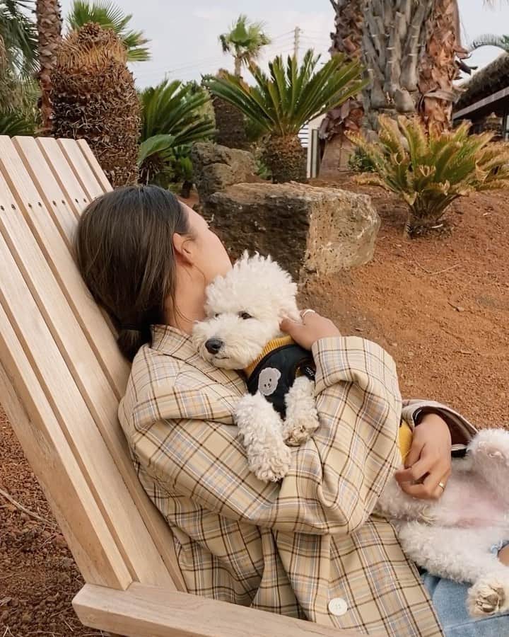 キム・ダヘのインスタグラム：「피곤한 애깅 🐶 힘내 친구야 또 언제올지몰라」
