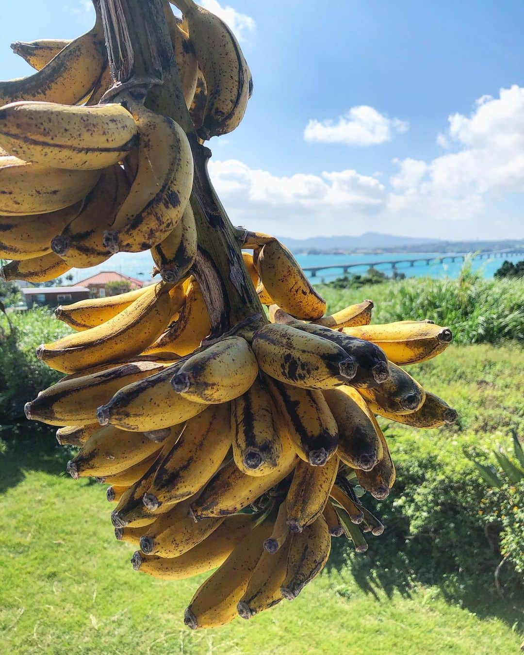 ONE SUITE Hotel & Resort（公式）のグルメインスタ