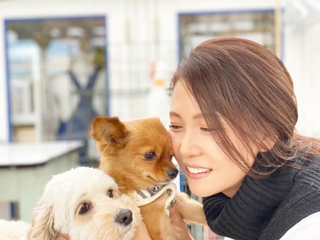 lady.junjunのインスタグラム