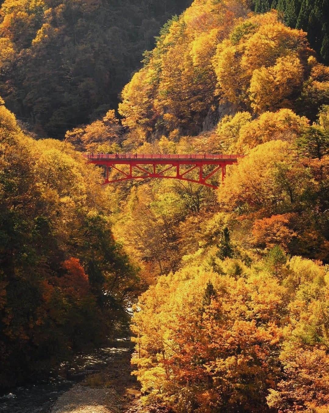 ?長野県 観光 公式インスタグラム さんのインスタグラム写真 - (?長野県 観光 公式インスタグラム Instagram)「//﻿ Photo by @xxgtd362﻿ ﻿ Matsukawa Ravine’s Takai Bridge﻿ (Takayama Village)﻿ ﻿ The Takai Bridge is at the entrance to the Matsukawa Ravine.﻿ ﻿ It is a symbol of the area, its red color contrasting beautifully with the ravine’s rich nature in every season.﻿ ﻿ ＝＝＝＝＝＝＝＝＝﻿ ﻿ 渓谷のシンボル﻿ 「松川渓谷の高井橋」﻿ ＠高山村﻿ ﻿ 松川渓谷の玄関口に位置する「高井橋」🌉﻿ ﻿ 橋の赤色が周囲の豊かな自然と調和して﻿ 美しい景観を作り上げています🍁﻿ ﻿ 四季を通じて移り変わる渓谷美に欠かせない﻿ 松川渓谷のシンボルです✨﻿ ﻿ ＿＿＿＿＿＿＿＿＿ ﻿ ﻿ 📸インスタアワード作品募集中📸﻿ 応募期間8/19～11/10﻿ 詳しくはプロフィールのリンクからご覧ください﻿ ﻿ @nagano_japan﻿ @jr_nagano_train﻿  をフォローして﻿ 応募期間(8/19～11/10)内に ﻿ 長野県内で撮った写真に﻿ #長野の車窓から﻿ #”撮影場所”﻿ を付けて投稿するだけ✨﻿ ﻿ ＿＿＿＿＿＿＿＿＿﻿ ﻿ Location / Takayama Village, Japan ﻿ ﻿ #おうちでながの﻿ #長野のいいところ ﻿ #松川渓谷﻿ #高山村」10月18日 17時00分 - nagano_japan