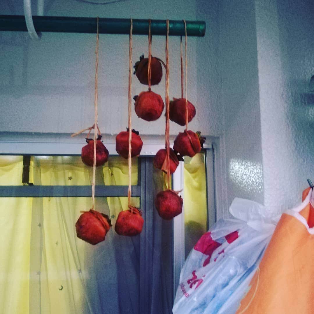 滝沢秀一（マシンガンズ）さんのインスタグラム写真 - (滝沢秀一（マシンガンズ）Instagram)「まさか干し柿を作ることになるとは思わなかった。人生何が起こるかわからない……。」10月18日 17時13分 - takizawa0914