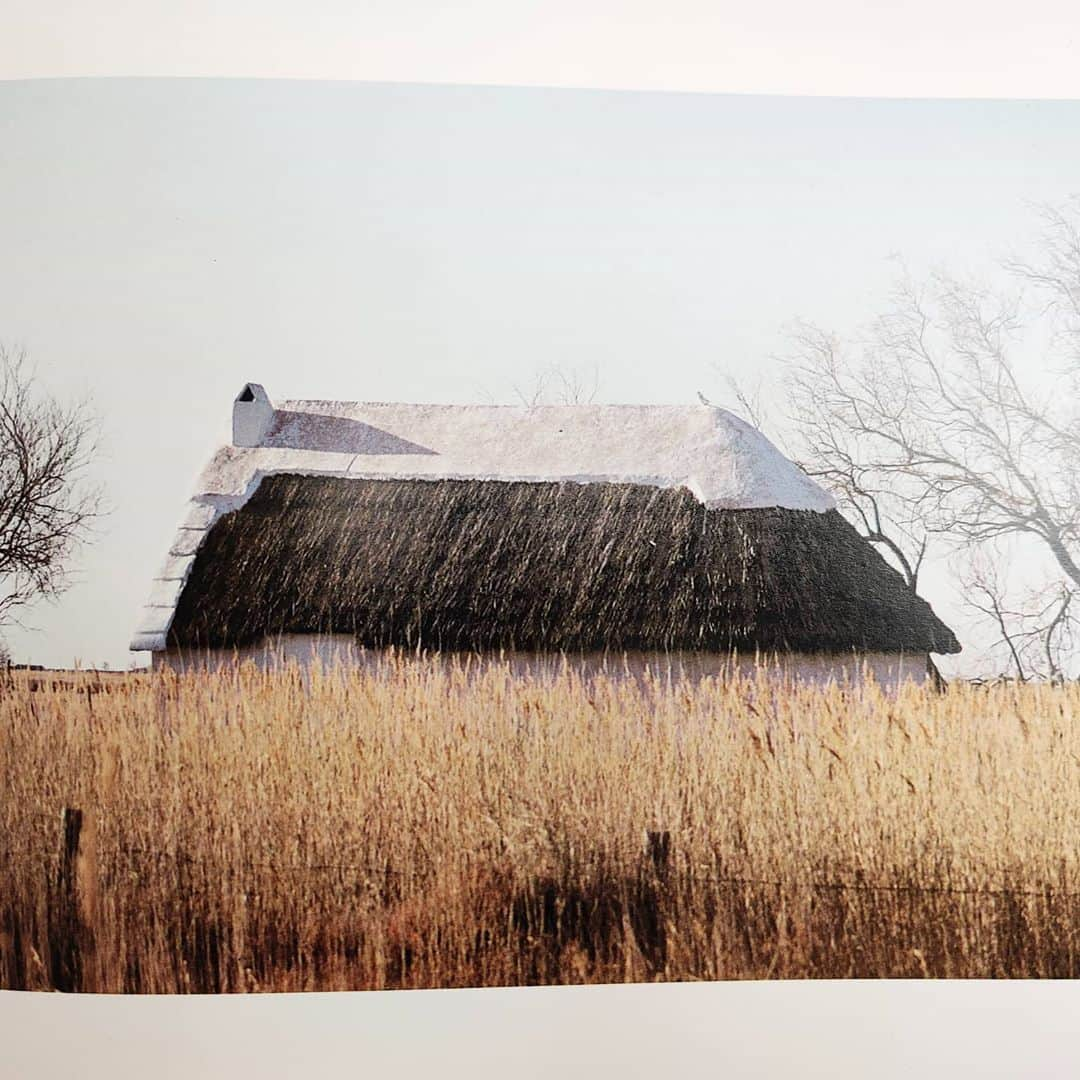 ラボッテガーディアンさんのインスタグラム写真 - (ラボッテガーディアンInstagram)「Bon Dimanche  #labottegardiane #home #cabane  #cabinlife #architectureregionale #maisondegardian #gardian #camarguetourisme  #occitanie」10月18日 17時14分 - labottegardiane