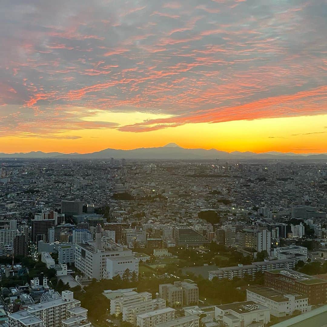 ロングレインのグルメインスタ