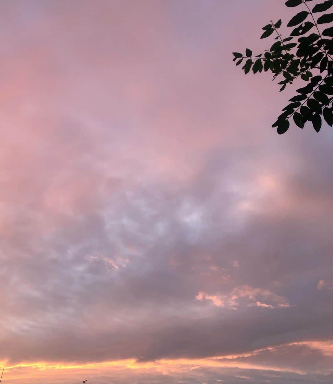 純名里沙さんのインスタグラム写真 - (純名里沙Instagram)「凄い空に出逢いました✨しばらく動けなかった。。癒されました🍀 ・ #先空 #空 #そら #夕景 #マジックアワー #一瞬の空のショー #加工なしの空」10月18日 17時21分 - risajunna3158