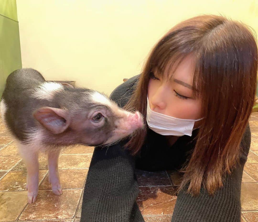  りさぶーのグルメインスタ