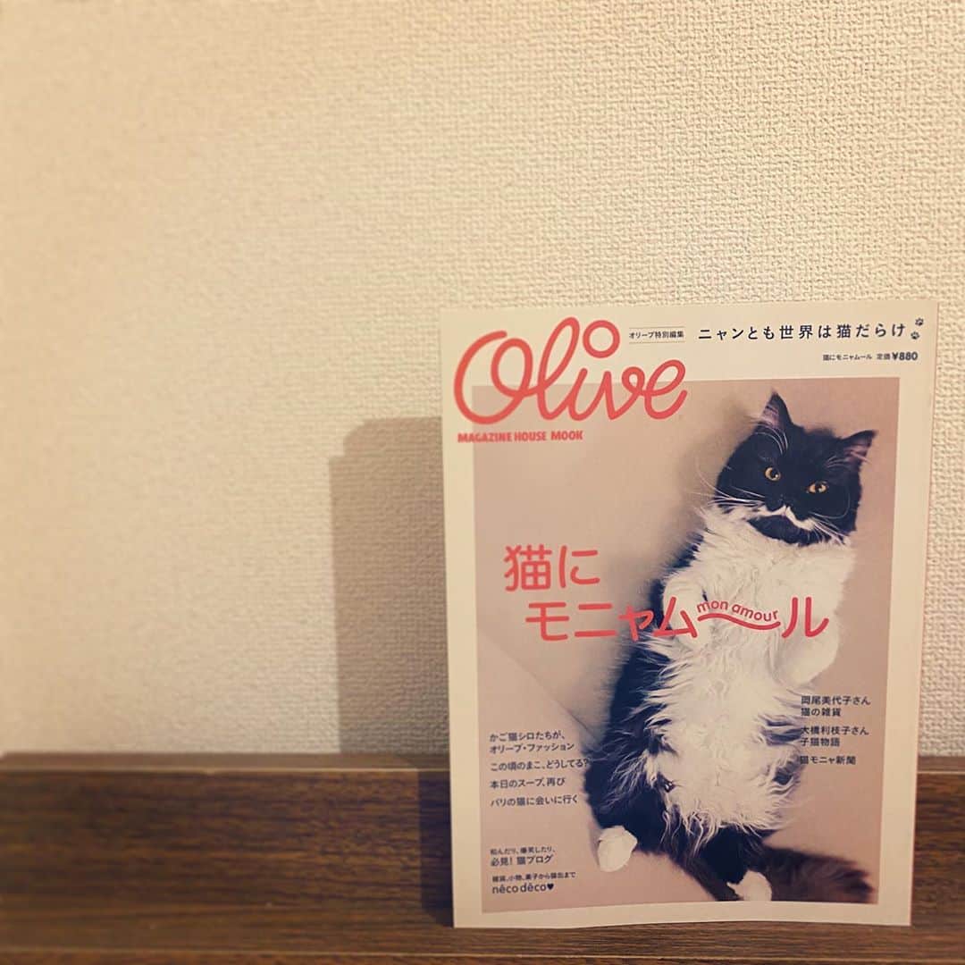 加藤ナナさんのインスタグラム写真 - (加藤ナナInstagram)「表紙が可愛いすぎてジャケ買いした本🐱📖🤍 中身も最高猫祭り🙏🏻🤤  #猫にモニャムール」10月18日 17時38分 - katouchan