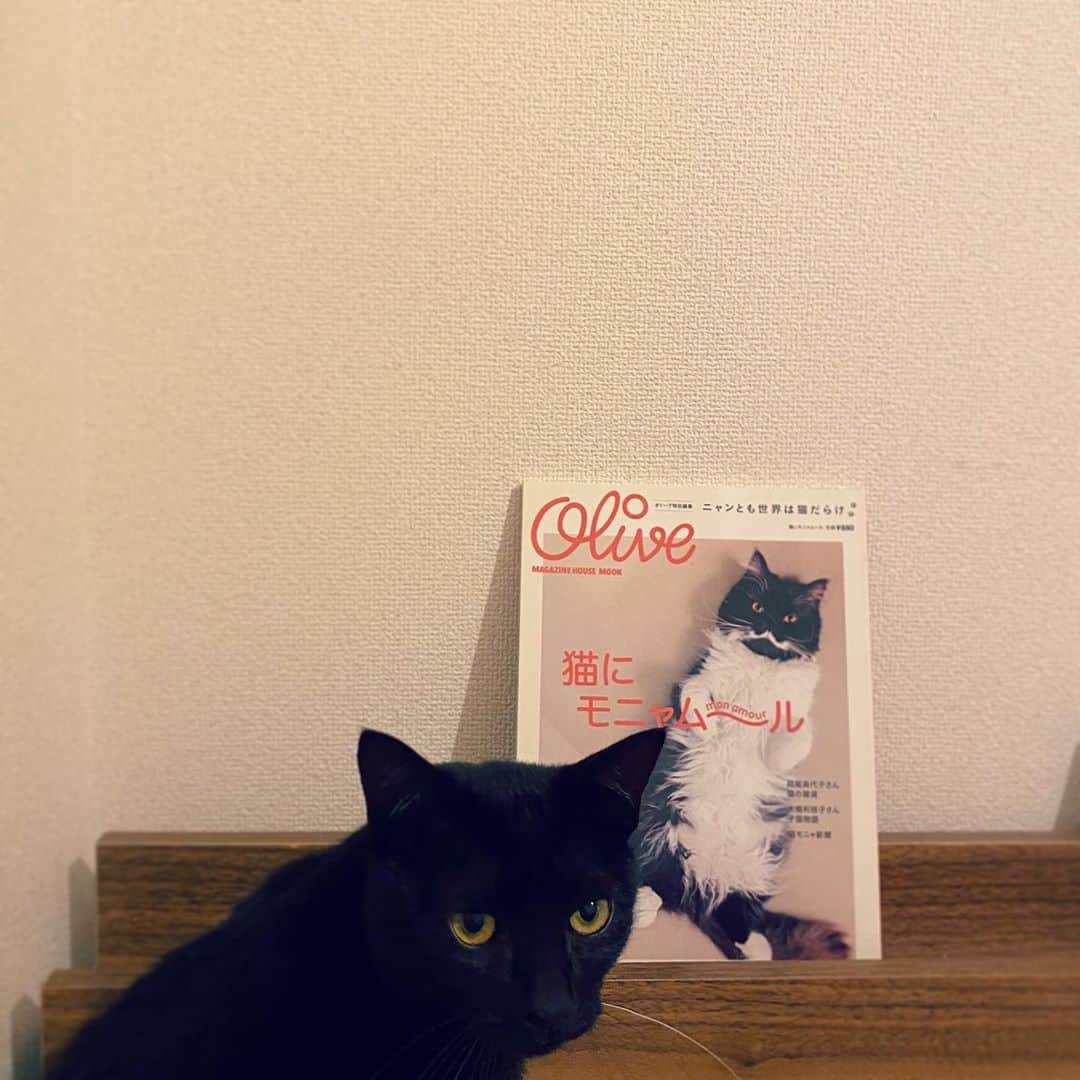 加藤ナナさんのインスタグラム写真 - (加藤ナナInstagram)「表紙が可愛いすぎてジャケ買いした本🐱📖🤍 中身も最高猫祭り🙏🏻🤤  #猫にモニャムール」10月18日 17時38分 - katouchan