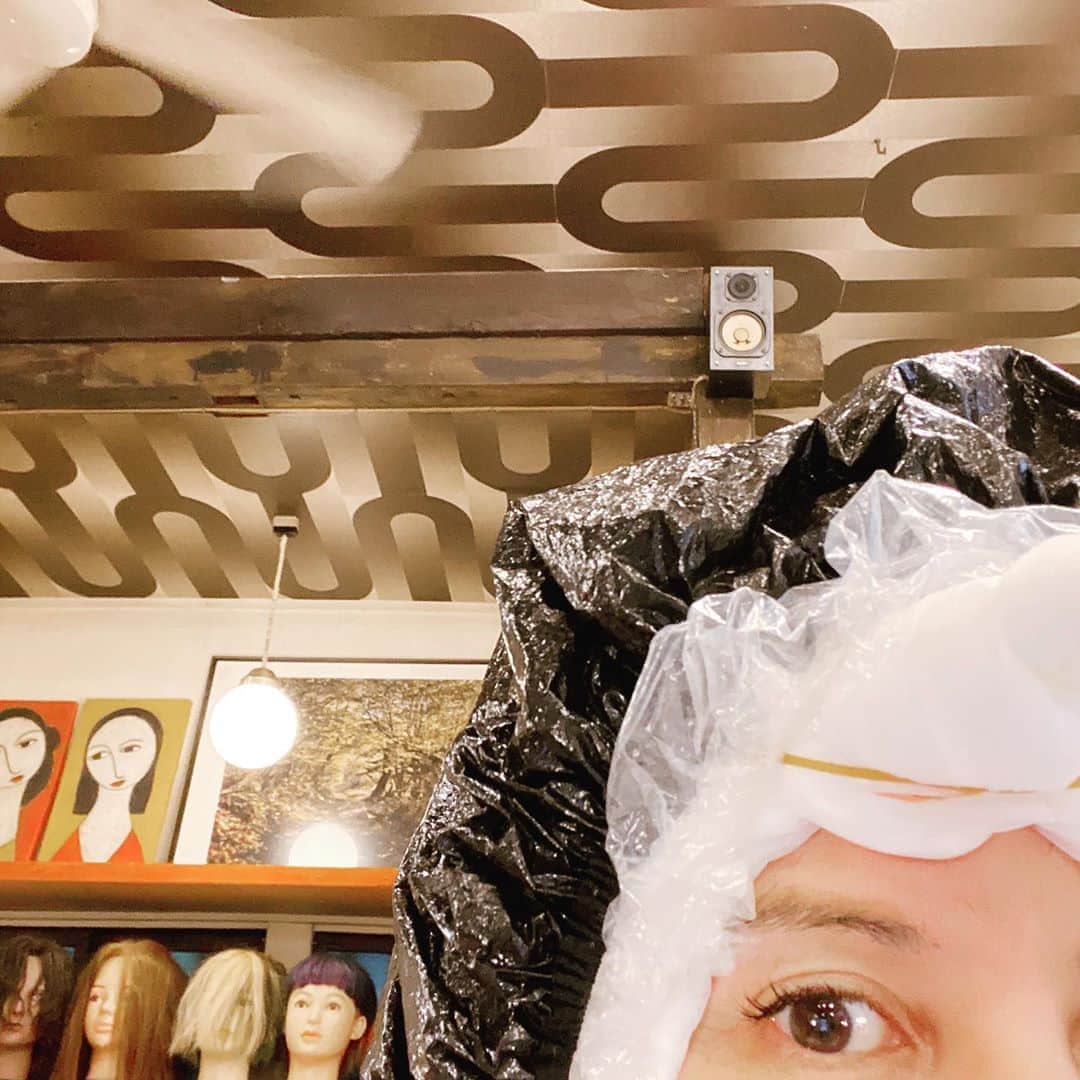 横沢ローラのインスタグラム：「本日は、べよういんです。 天井の壁紙がかっこいい話題。」
