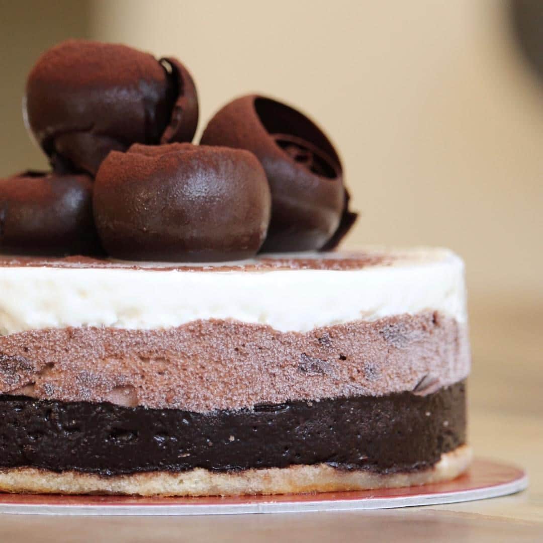 のインスタグラム：「Ti sveliamo alcuni segreti delle nostre torte: una base di biscotto o di Pan di Spagna, strati di gelato alle creme o alla frutta e golose decorazioni con salse, frutta fresca o secca, meringa,  cioccolato. Se desideri una torta-gelato personalizzata raccontaci la tua idea e noi la realizzeremo in laboratorio! ⁠ ⁠ #gelateria #icecreamshop  #gelato #gelatomarghera #icecream #foodlovers #dessert #dessertporn #foodporn #instaicecream  #gelatoitaliano #gelatoartigianale #gelateriamilano#icecreamlovers #instagelato」