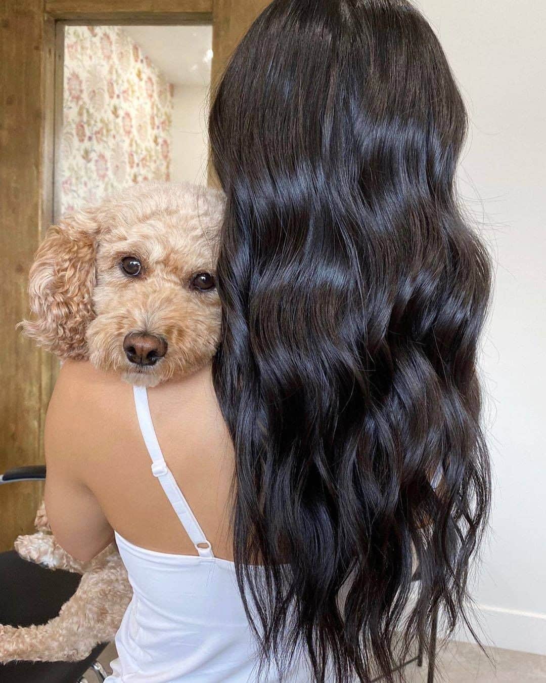 ghd hairさんのインスタグラム写真 - (ghd hairInstagram)「Puppy love & glossy waves = life goals 🥰✌️ @by.amndale   #ghd #ghdhairpro #hairgoals #hairstyling #puppylove #hairenvy #sundaymood #hair #hairstylist」10月18日 19時00分 - ghdhair
