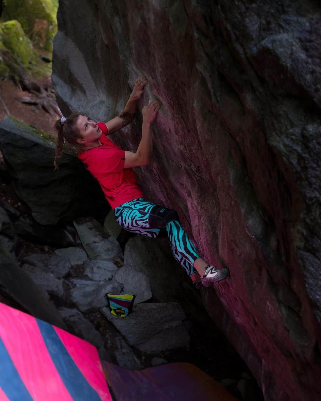 カロリーネ・ジンフーバーのインスタグラム：「had a short trip to #magicwood this weekend. enjoyed crisp conditions and some progress in my projects ✨ @fabian.leu captured me while doing a quick ascent of ‚Sofa Surfer‘ 8A/+ 🏄🏼‍♀️ @scarpa_at @frictionlabs @natureclimbing @organicclimbing @belmezattitude @sosolid_official  . . . #climbing #klettern #bouldern #swiss #schweiz #magic #autumn #forest #scarpaclimbs #leggings #zebra #organic #chalkmatters #iloooveit #climbing_pictures_of_instagram #climbing_lovers #climbing_worldwide #climbinglife #adventurestartshere」