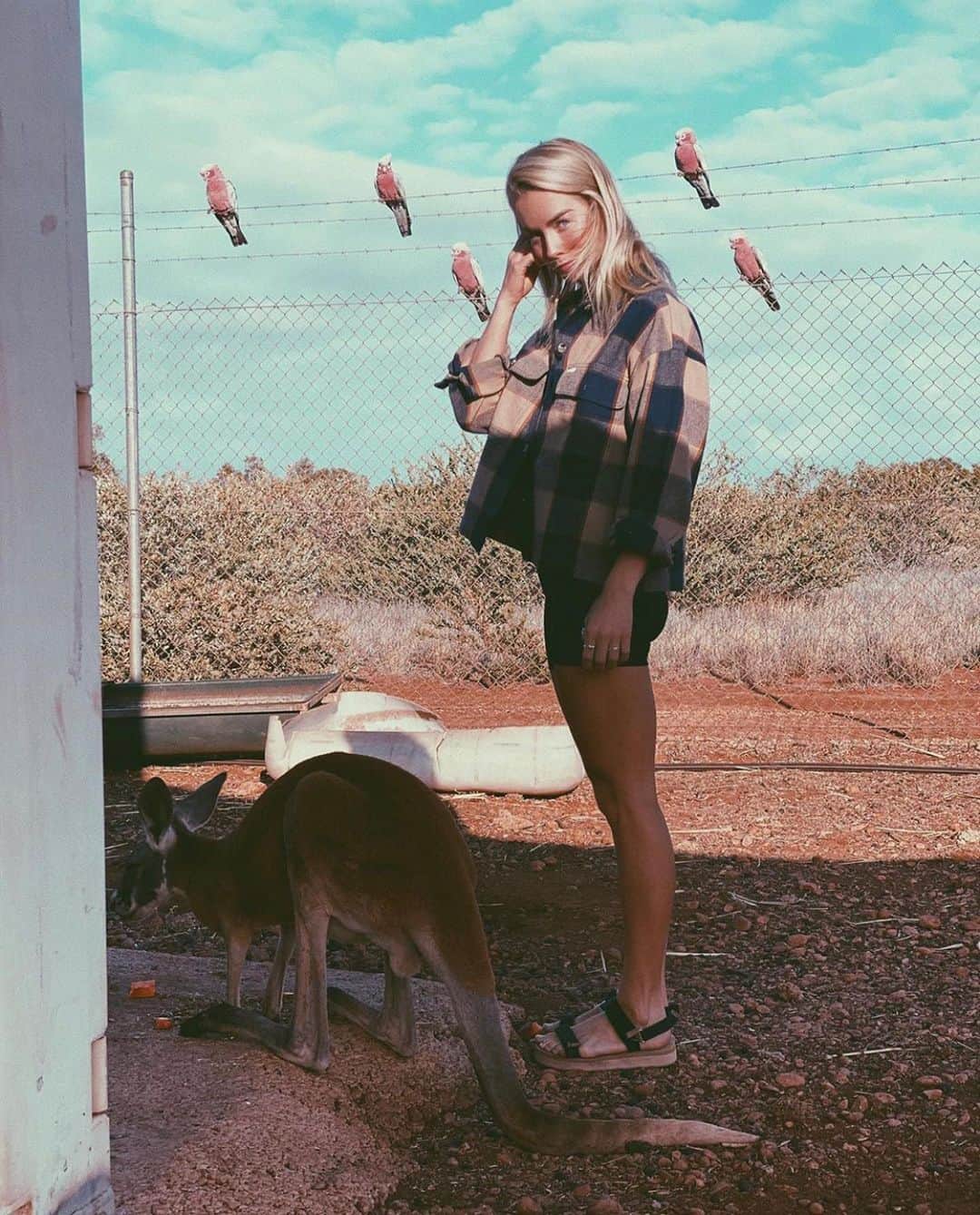 のインスタグラム：「@brinkleydavies in the Bowery with her new friend, an orphan red kangaroo she helped rehabilitate to be released back into the wild.」