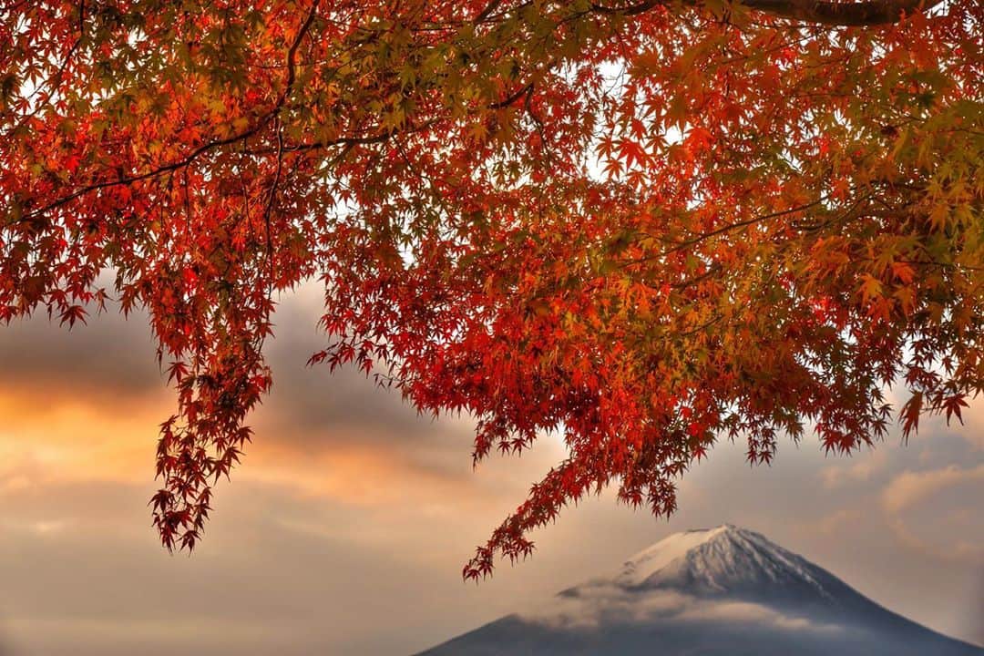 phantastic420のインスタグラム：「. 🤩🤩“Shizuoka” prefecture in Japan is a place where you can see the most “phantastic” Mt. Fuji🗻 in the world.🤩 #富士山 #mtfuji #japan #shizuoka #fujinomiya  #宮すた #miyasta @fujinomiyacity  #phantastic420photography #mostphantasticmtfuji #selamatpagi  #goodmorning  #おはようございます  #สวัสดี 🙏#สวัสดีครับ 🙏🇹🇭😇😇😇😇😇🗻😇😇😇😇 🇹🇭#Thailand now 🤣#サワディーカップ 🙏#サワディー 🙏」