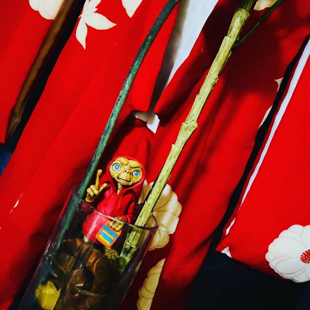 緒月遠麻さんのインスタグラム写真 - (緒月遠麻Instagram)「☺︎ 森の中のETを再現🌳  我ながらいい出来です。  #et  #遊び心のある家」10月18日 21時12分 - toma_ozuki